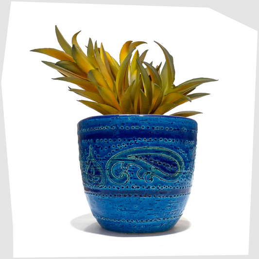 Bitossi Liberty Planter in rimini blue glaze with flowing paisley pattern shown with a houseplant inside, on a white background