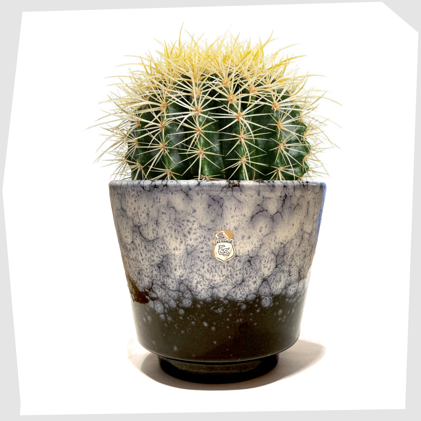 ES Keramik Planter in dark grey glaze with blue and white fat lava glaze, shown with a barrel cactus inside