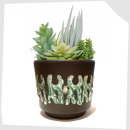 ES Keramik Planter with a central band of green and white textured fat lava, shown with a selection of succulents