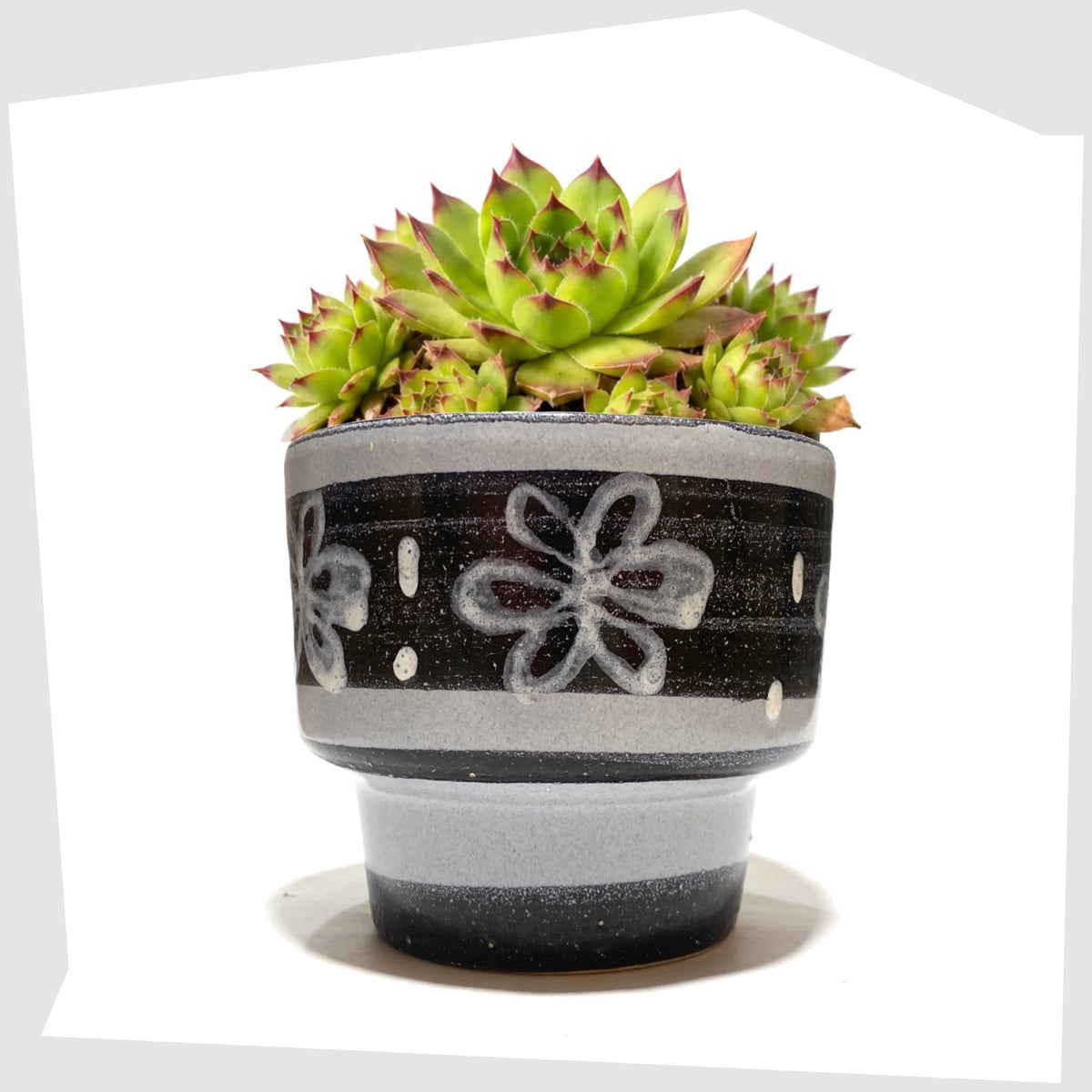 Belgian Pottery Planter by BPF Heffen in a grey/blue glaze with hand-painted band of stylised flowers, shown with a succulent inside on a white background