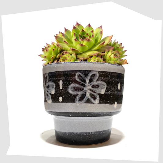 Belgian Pottery Planter by BPF Heffen in a grey/blue glaze with hand-painted band of stylised flowers, shown with a succulent inside on a white background