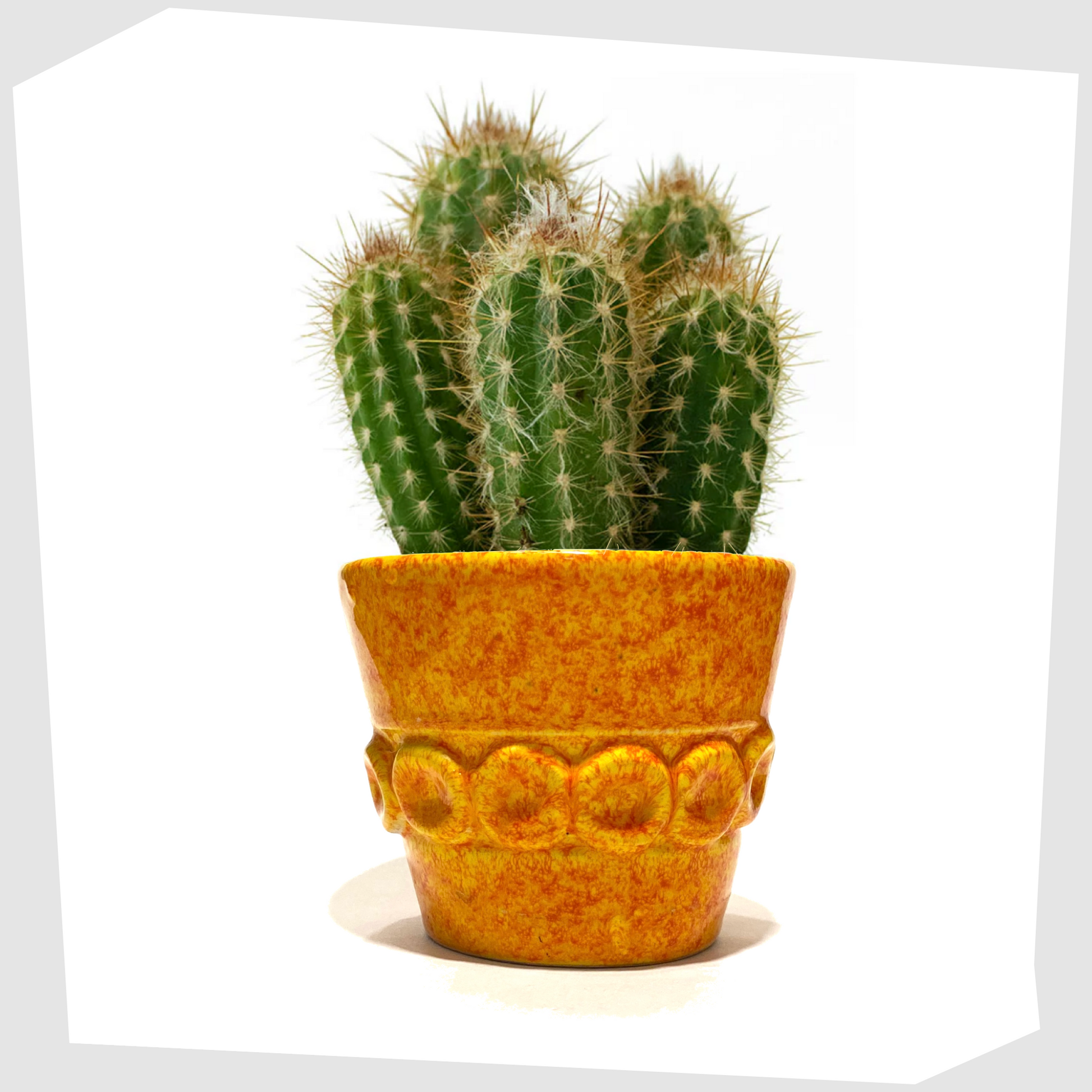 Italian Pottery Planter finished in a fire glaze of orange and yellow flecks, shown with a small cactus
