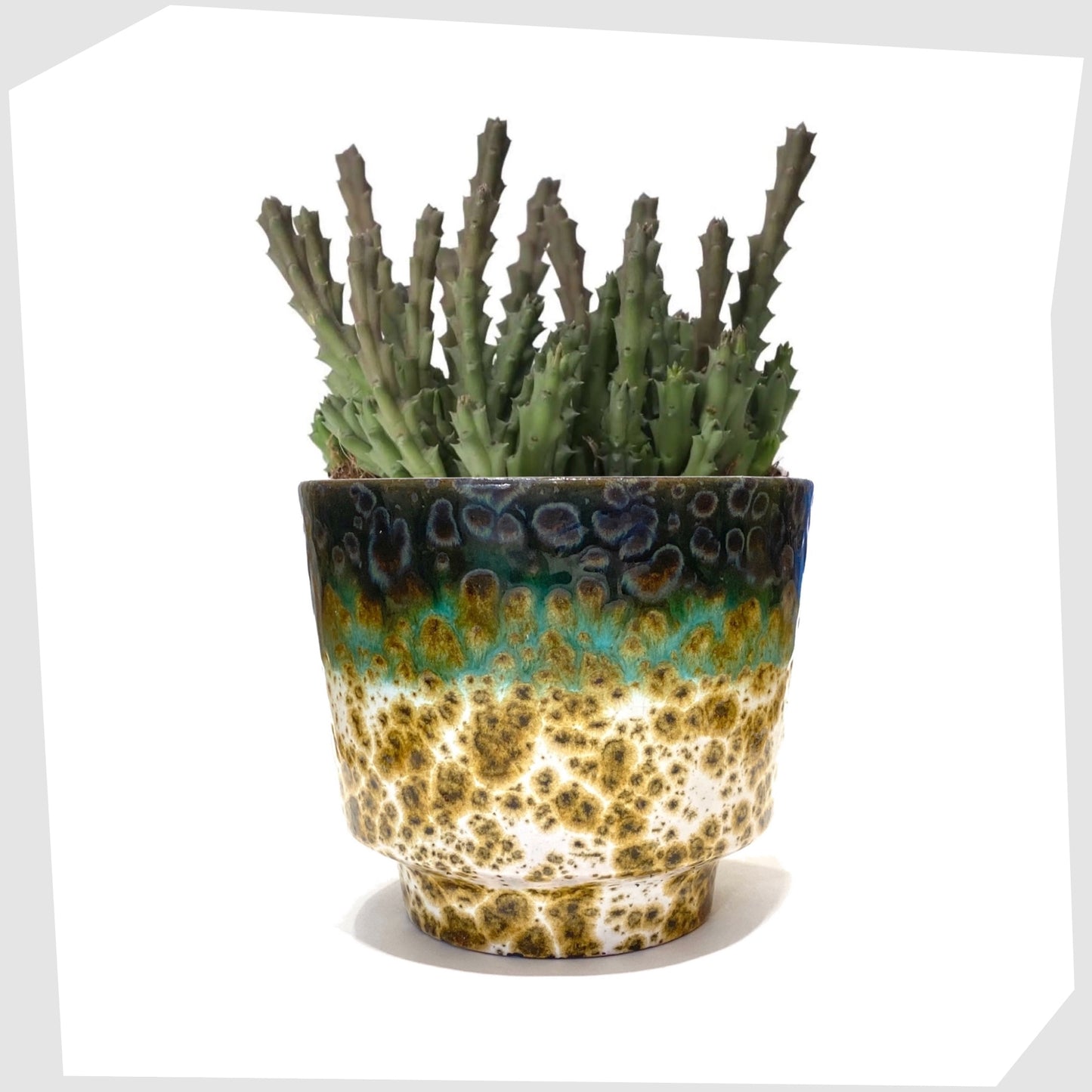 vintage west german pottery planter by Marei Keramik, in green fat lava glaze shown with a succulent
