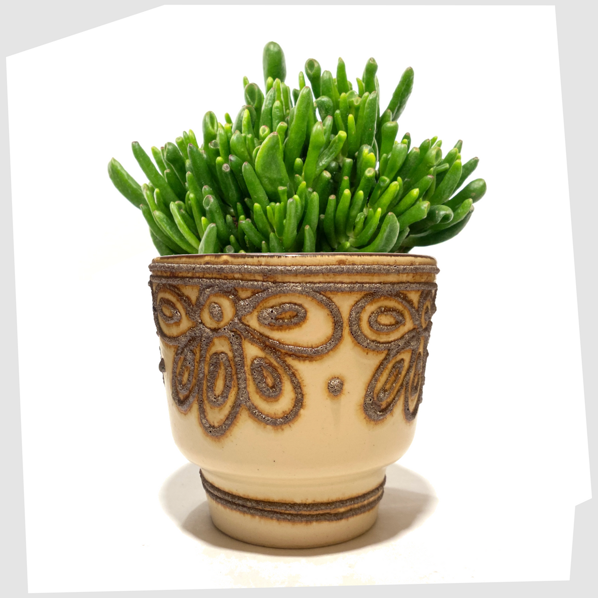 B.P.F. Heffen Planter in a matte beige glaze with brown fat lava design with a golem succulent inside, shown on a white background