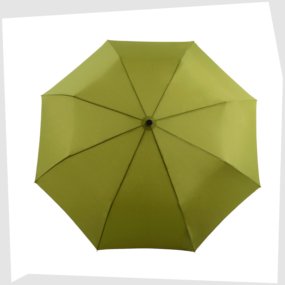 Top view of the open canopy on the Original Duckhead Umbrella in Olive Green, shown closed on a white background
