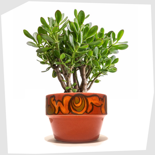 poole pottery planter finished in a rich red glaze with orange and green forms around the rim