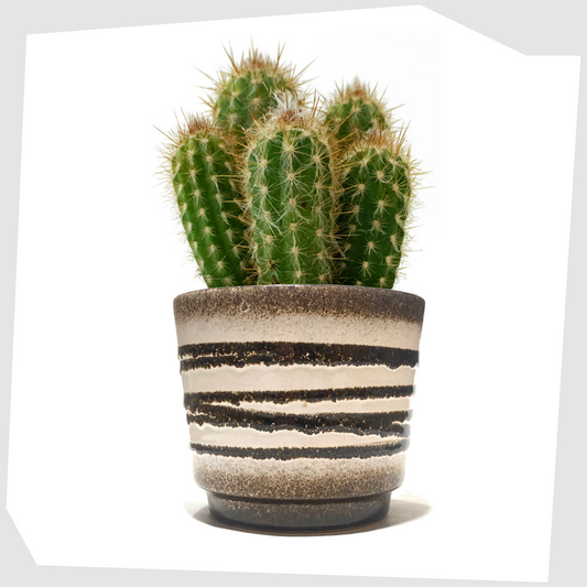 scheurich keramik 806-12 planter finished in a monochrome glaze with fat lava swirls