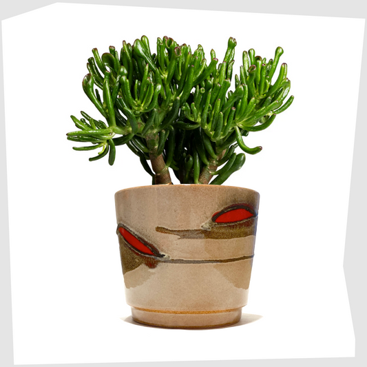 scheurich keramik 806-17 planter with fluid artistic glaze with red fat lava forms, shown with a succulent inside.