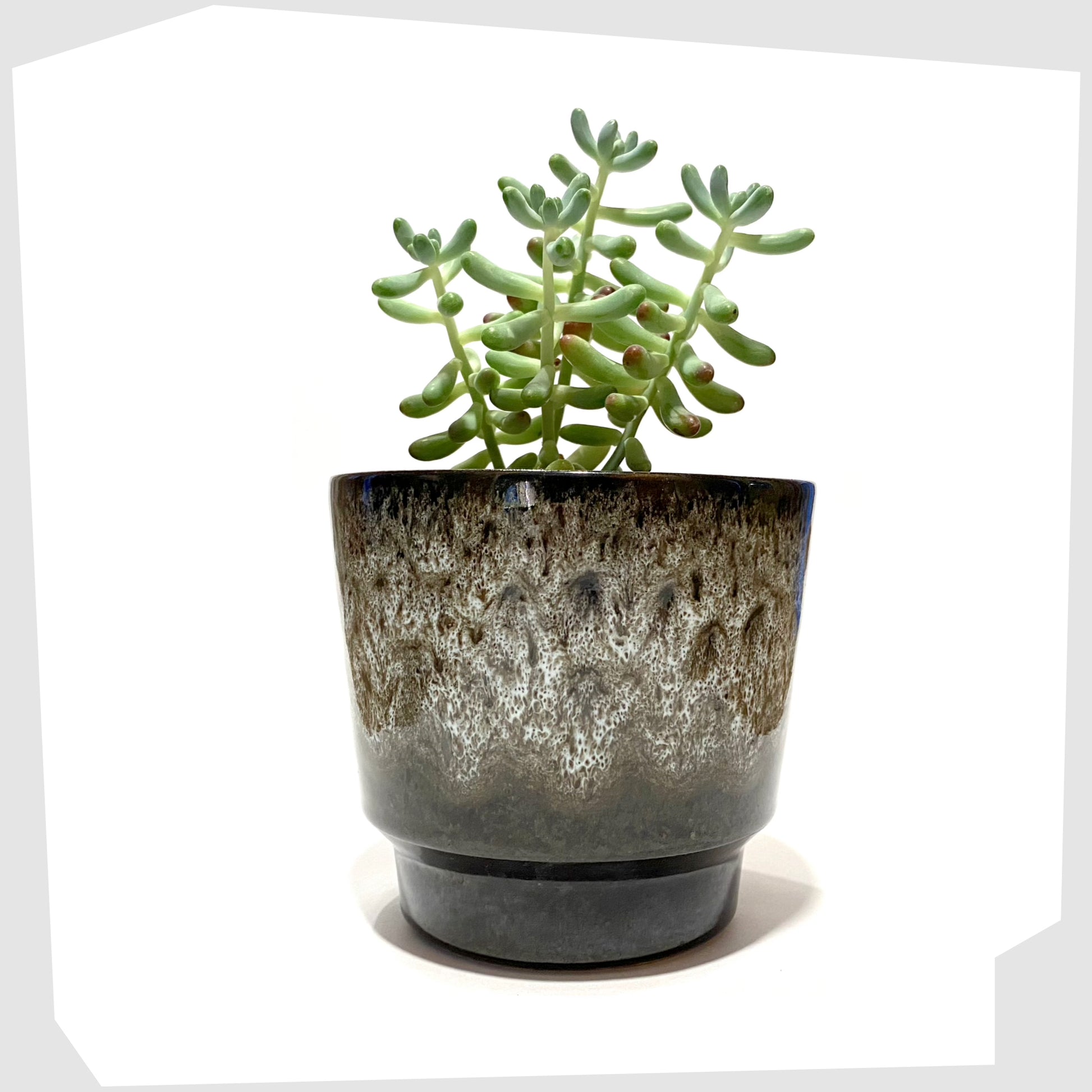 west german pottery planter with grey fat lava drip glazing, with succulent plant
